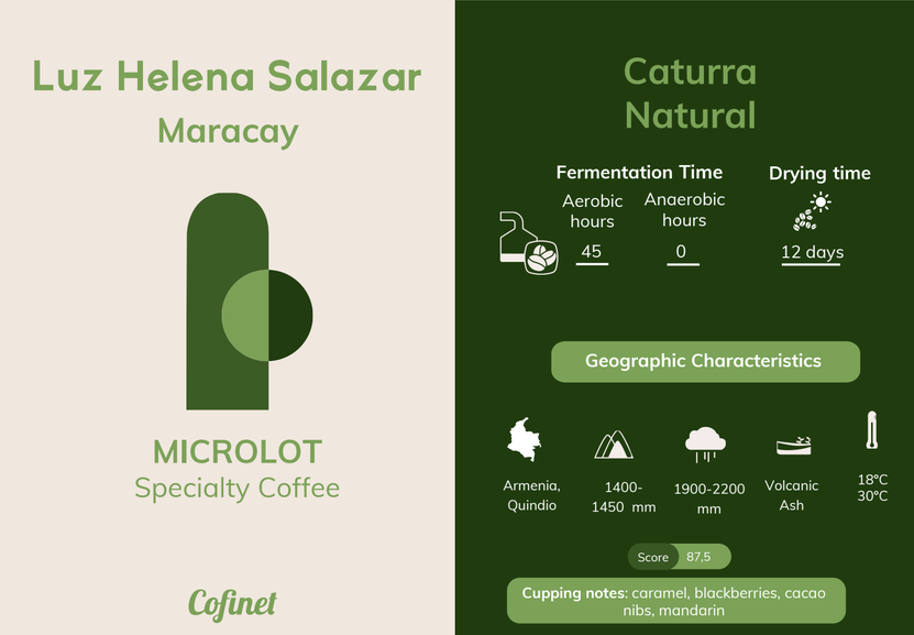 Colombie - Luz Helena Salazar - Nature Caturra